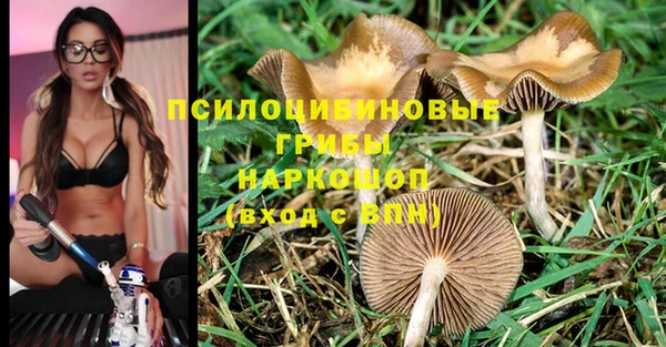 прущая мука Алзамай