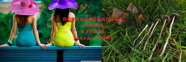 каннабис Арсеньев