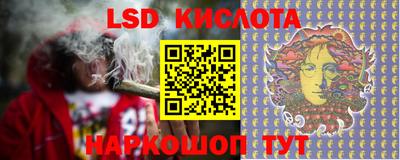 кокс Кингисепп