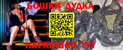 кокс Кингисепп