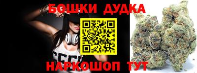 кокс Кингисепп