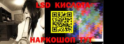 кокс Кингисепп