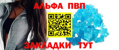 кокс Кингисепп