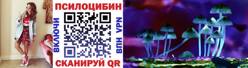 Псилоцибиновые грибы Psilocybine cubensis  Обнинск 