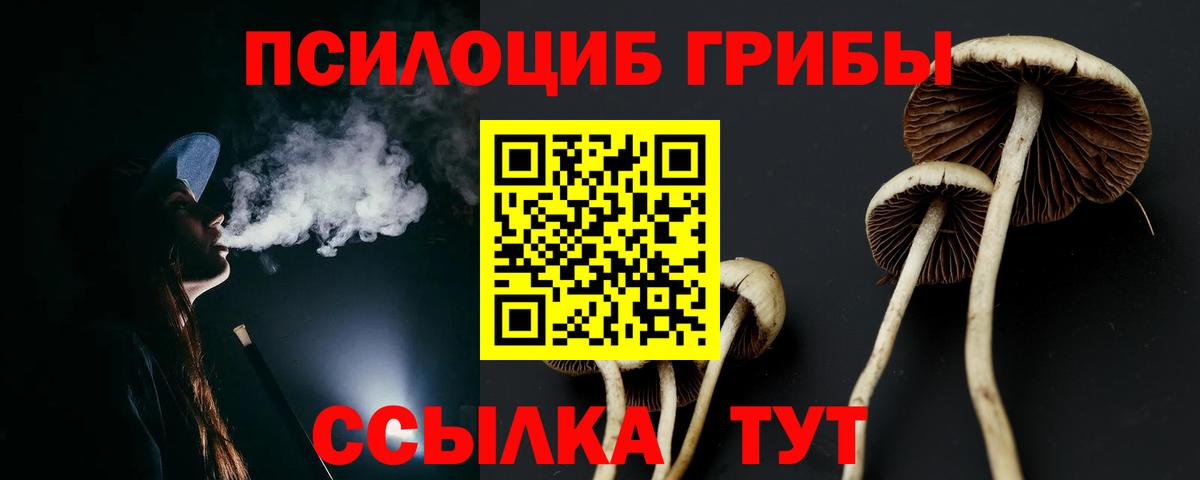 где можно купить наркотик  Галлюциногенные грибы мицелий  Вход с VPN  Обнинск 