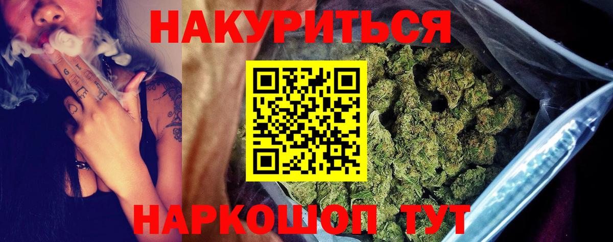 Канабис сатива Обнинск